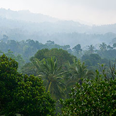 Amazon rainforest guided tours